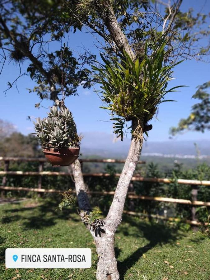 Finca Santa Rosa Teocelo Luaran gambar